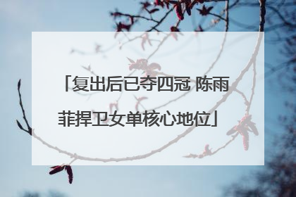 复出后已夺四冠 陈雨菲捍卫女单核心地位