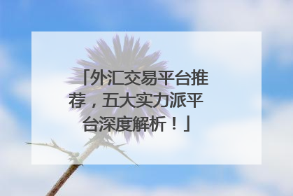 外汇交易平台推荐，五大实力派平台深度解析！