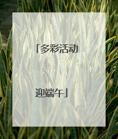 多彩活动迎端午
