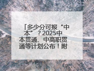多少分可报“中本”？2025中本贯通、中高职贯通等计划公布！附2024分数线