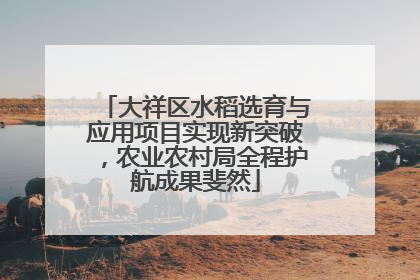 大祥区水稻选育与应用项目实现新突破，农业农村局全程护航成果斐然