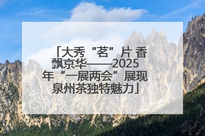 大秀“茗”片 香飘京华——2025年“一展两会”展现泉州茶独特魅力