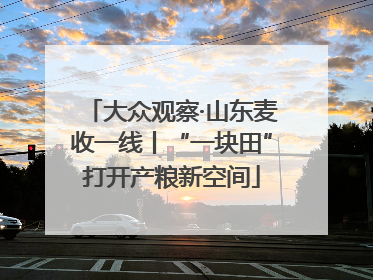 大众观察·山东麦收一线丨“一块田”打开产粮新空间