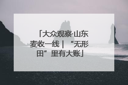 大众观察·山东麦收一线｜“无形田”里有大账