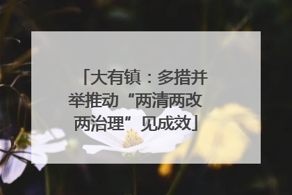 大有镇：多措并举推动“两清两改两治理”见成效