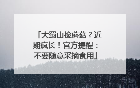 大蜀山捡蘑菇？近期疯长！官方提醒：不要随意采摘食用