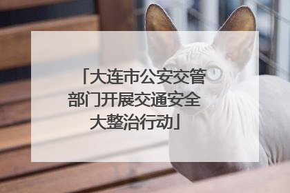 大连市公安交管部门开展交通安全大整治行动