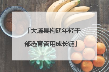 大通县构建年轻干部选育管用成长链
