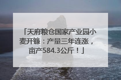 天府粮仓国家产业园小麦开镰：产量三年连涨，亩产584.3公斤！