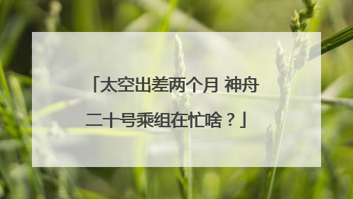 太空出差两个月 神舟二十号乘组在忙啥？