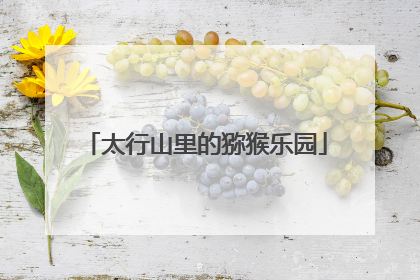太行山里的猕猴乐园