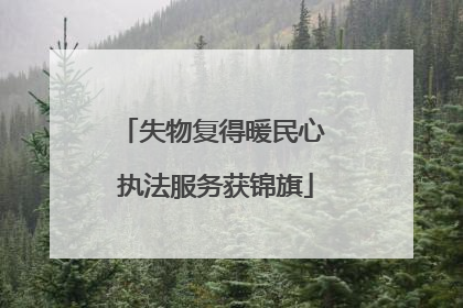 失物复得暖民心 执法服务获锦旗