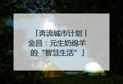 奔流城市计划丨金昌：元生奶绵羊的“智慧生活”