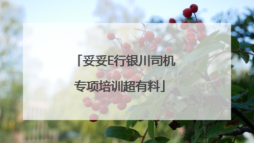 妥妥E行银川司机专项培训超有料
