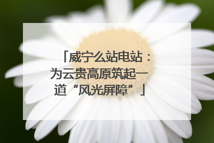 威宁么站电站：为云贵高原筑起一道“风光屏障”