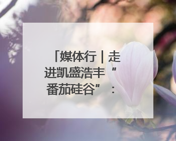 媒体行｜走进凯盛浩丰“番茄硅谷”：看数字神经下的精准农业