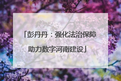 彭丹丹：强化法治保障 助力数字河南建设