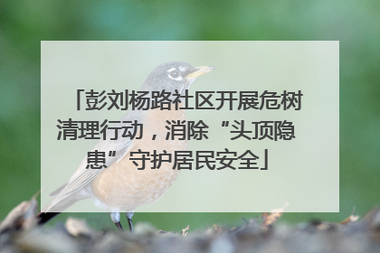 彭刘杨路社区开展危树清理行动，消除“头顶隐患”守护居民安全