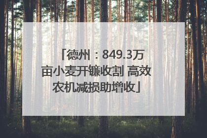 德州：849.3万亩小麦开镰收割 高效农机减损助增收