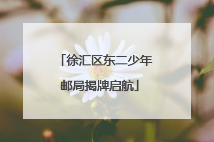 徐汇区东二少年邮局揭牌启航