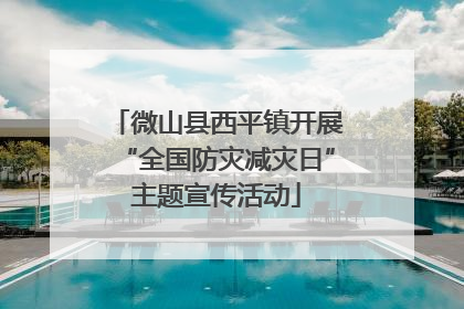 微山县西平镇开展“全国防灾减灾日”主题宣传活动