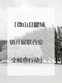 微山县驩城镇开展联合安全检查行动