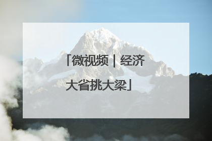 微视频｜经济大省挑大梁