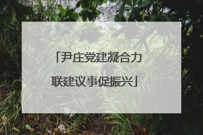 尹庄党建凝合力 联建议事促振兴