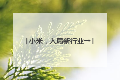 小米，入局新行业→