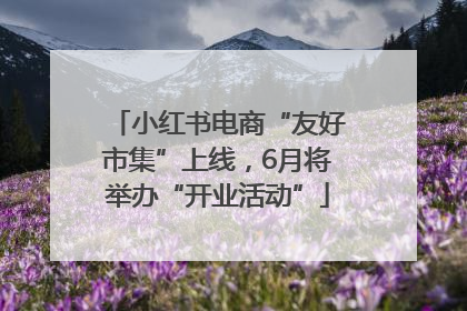 小红书电商“友好市集”上线，6月将举办“开业活动”