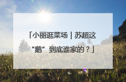 小丽逛菜场｜苏超这“鹅”到底谁家的？