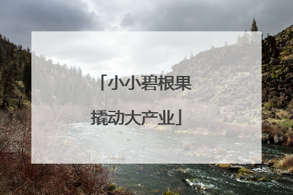 小小碧根果撬动大产业