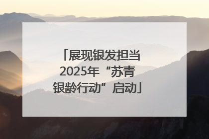 展现银发担当 2025年“苏青银龄行动”启动