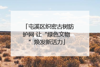 屯溪区织密古树防护网 让“绿色文物”焕发新活力