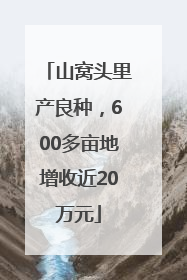 山窝头里产良种，600多亩地增收近20万元