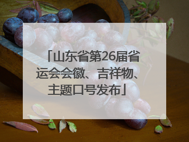 山东省第26届省运会会徽、吉祥物、主题口号发布