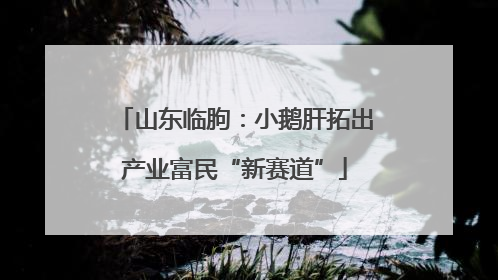 山东临朐：小鹅肝拓出产业富民“新赛道”