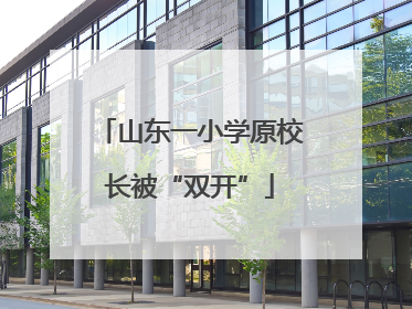 山东一小学原校长被“双开”