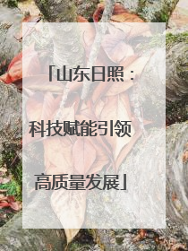 山东日照：科技赋能引领高质量发展
