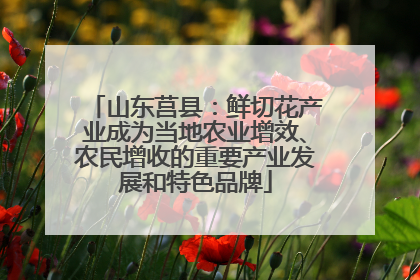 山东莒县：鲜切花产业成为当地农业增效、农民增收的重要产业发展和特色品牌
