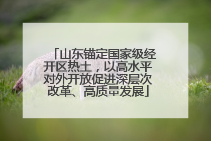 山东锚定国家级经开区热土，以高水平对外开放促进深层次改革、高质量发展