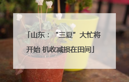 山东：“三夏”大忙将开始 机收减损在田间
