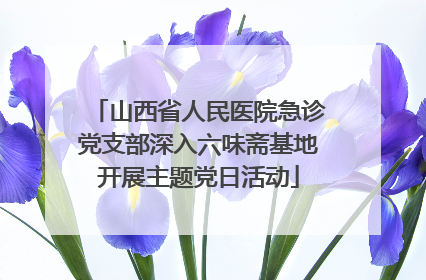 山西省人民医院急诊党支部深入六味斋基地开展主题党日活动