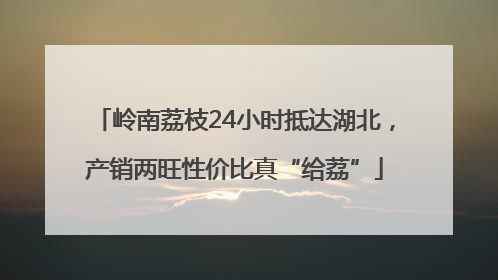 岭南荔枝24小时抵达湖北，产销两旺性价比真“给荔”