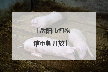 岳阳市博物馆重新开放