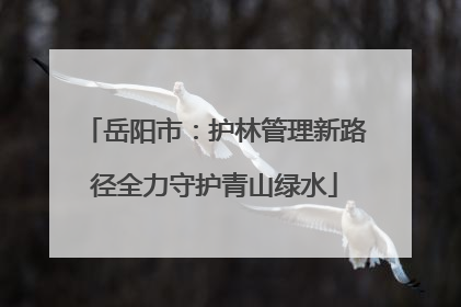 岳阳市：护林管理新路径全力守护青山绿水