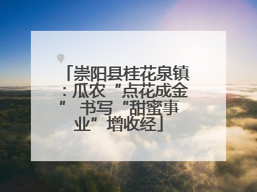 崇阳县桂花泉镇：瓜农“点花成金” 书写“甜蜜事业”增收经