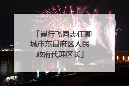 崔行飞同志任聊城市东昌府区人民政府代理区长