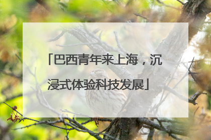 巴西青年来上海，沉浸式体验科技发展