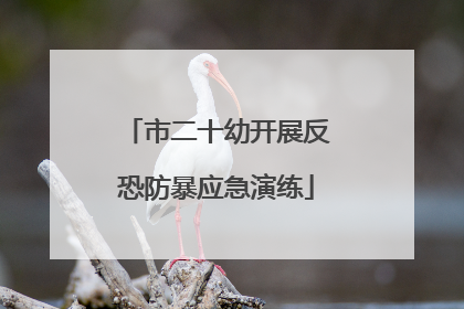 市二十幼开展反恐防暴应急演练